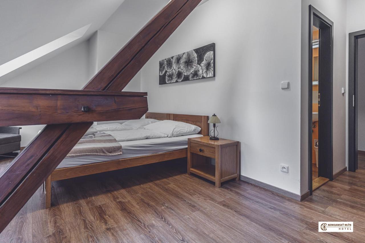 Hotel Nemojansky Mlyn Nemojany Zewnętrze zdjęcie
