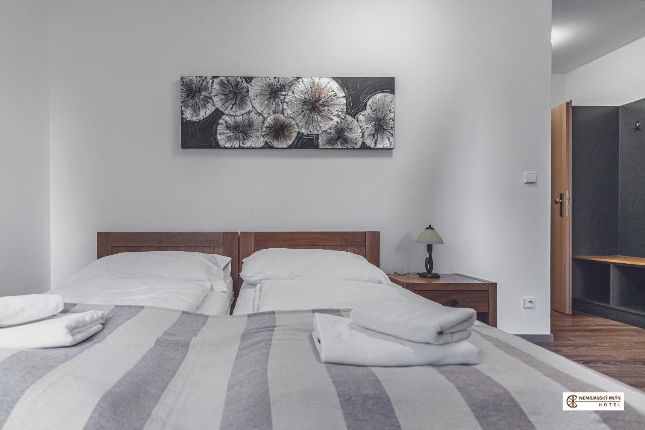 Hotel Nemojansky Mlyn Nemojany Zewnętrze zdjęcie