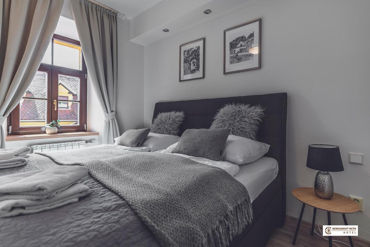 Hotel Nemojansky Mlyn Nemojany Zewnętrze zdjęcie