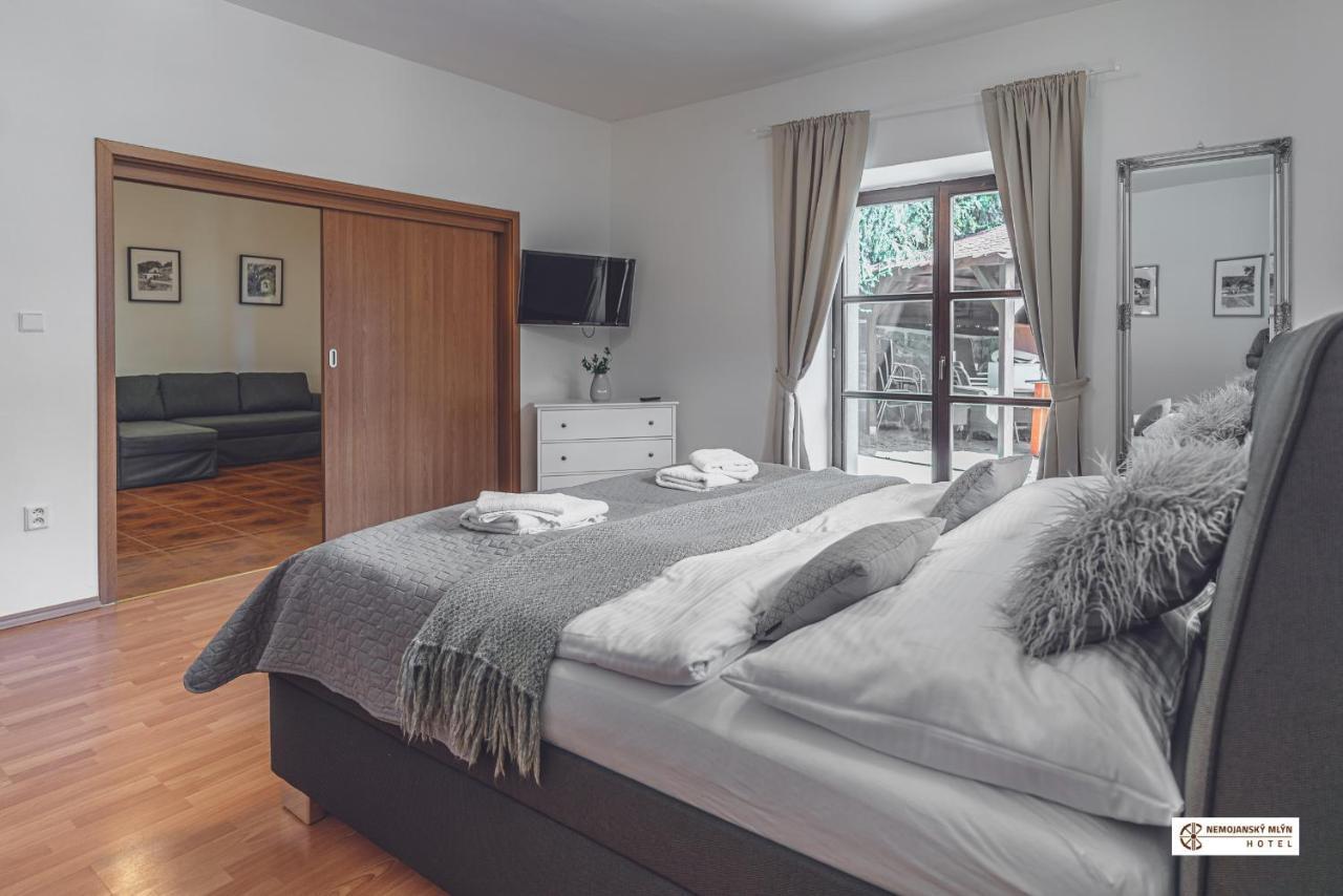 Hotel Nemojansky Mlyn Nemojany Zewnętrze zdjęcie