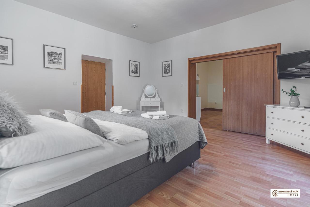 Hotel Nemojansky Mlyn Nemojany Zewnętrze zdjęcie